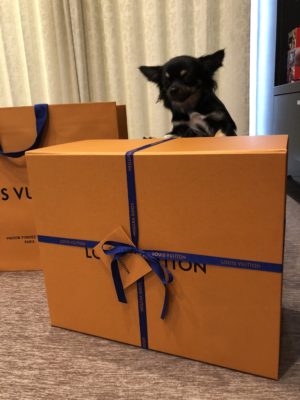 妻の誕生日に日頃の感謝を込めてルイヴィトンのバッグをプレゼント チワワと一緒におでかけ